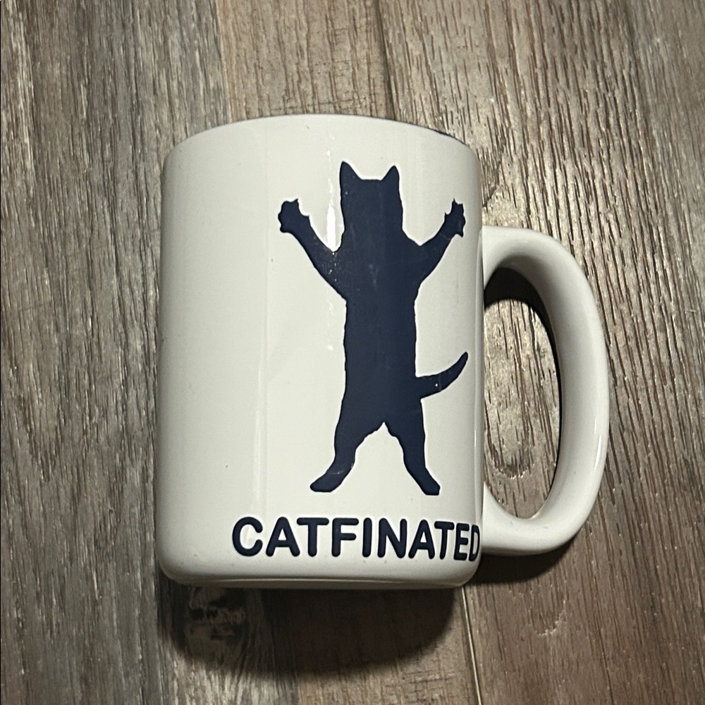 Amusing coffee mug by Wink, Catfinated, has not been used Hg105 box